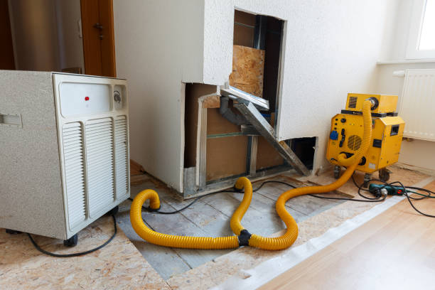 Winsted, MN Mold Removal Company